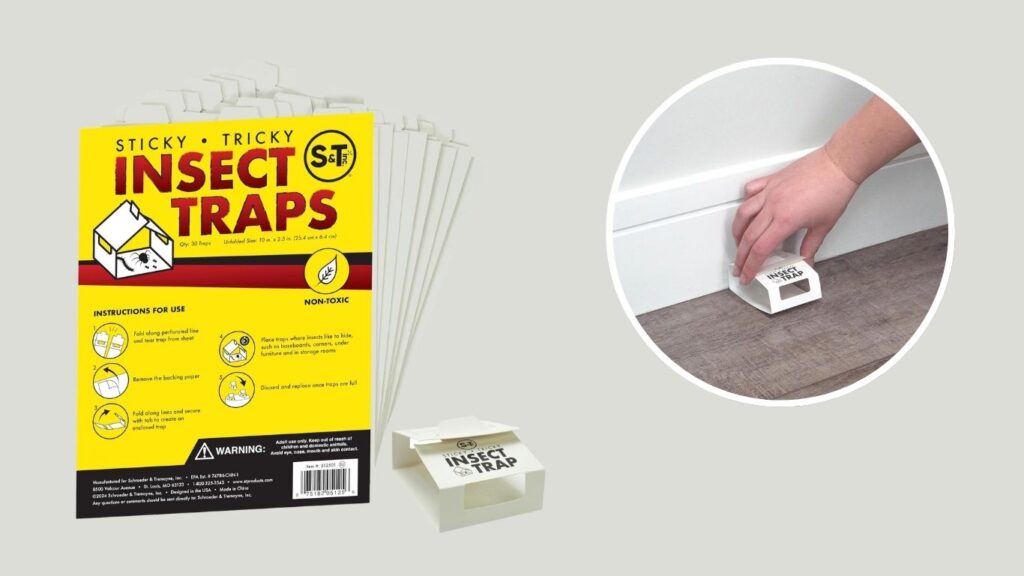 Catchmaster Spider & Insect Glue Traps