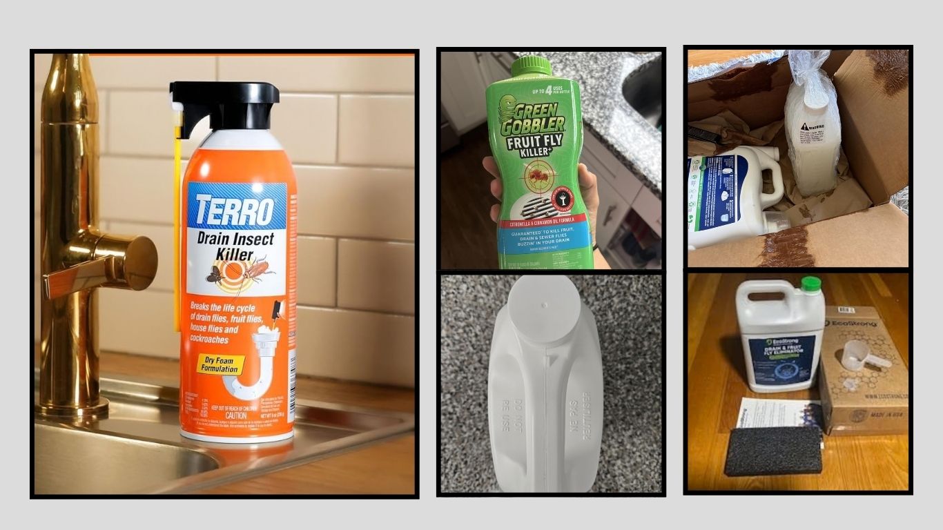8 Best Drain Fly Killers for Fast and Effective Control