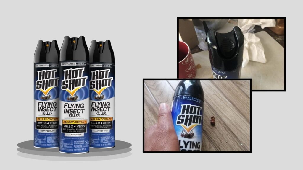 Aerosol Flying Insect Killer for Houseflies & Mosquitoes