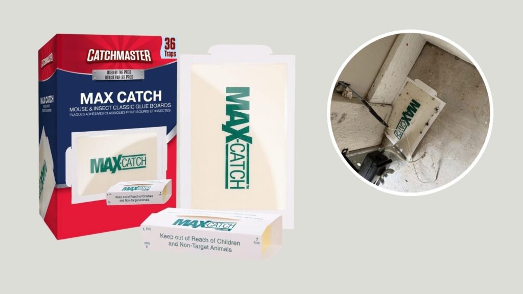 Catchmaster Max-Catch Mouse & Insect Glue Traps – 36 Pack