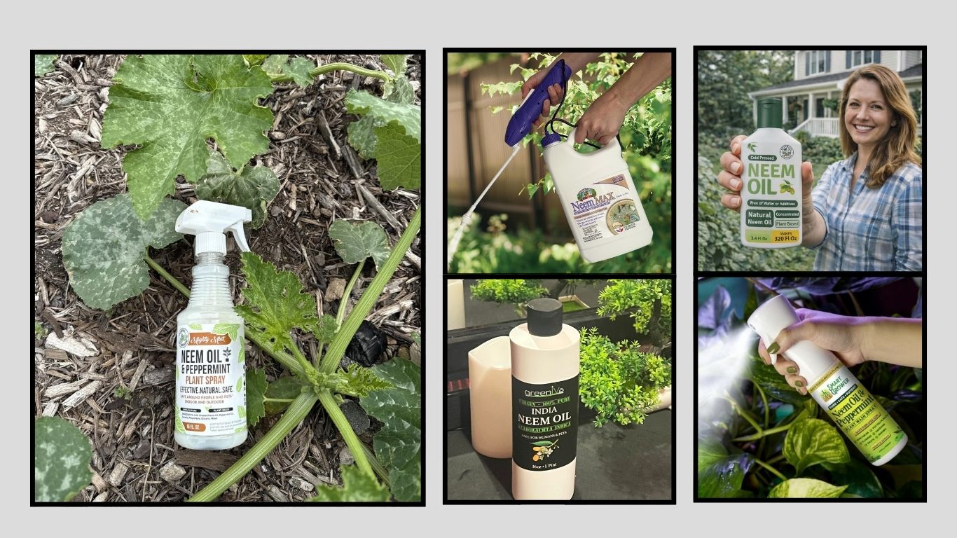 13 Best Neem Oil for Plants for Healthy Indoor and Outdoor Growth