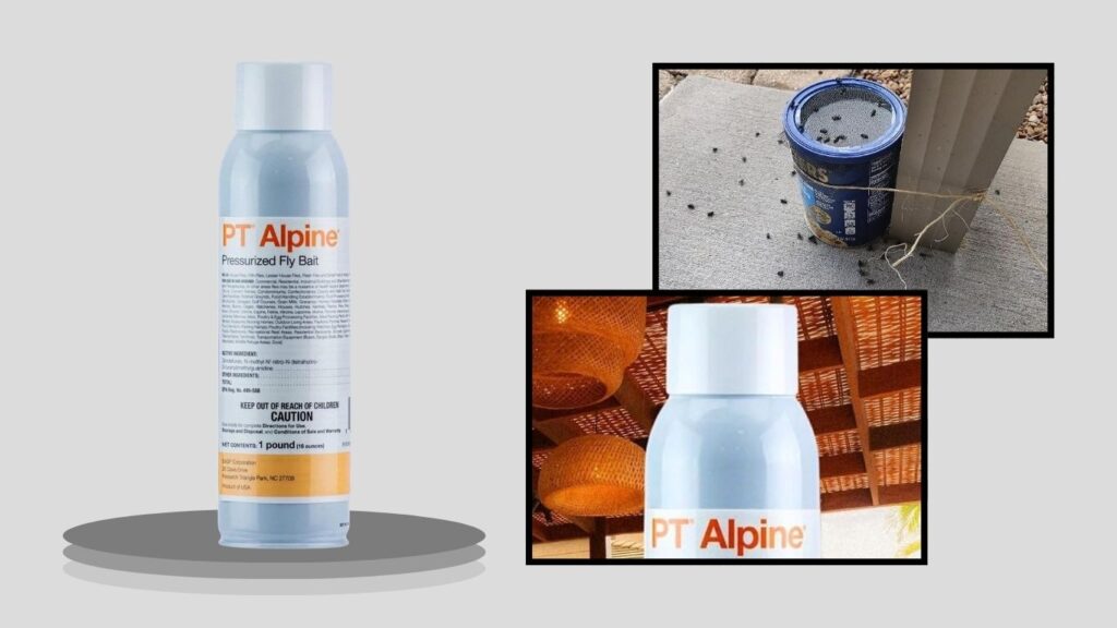PT Alpine Pressurized Fly Bait