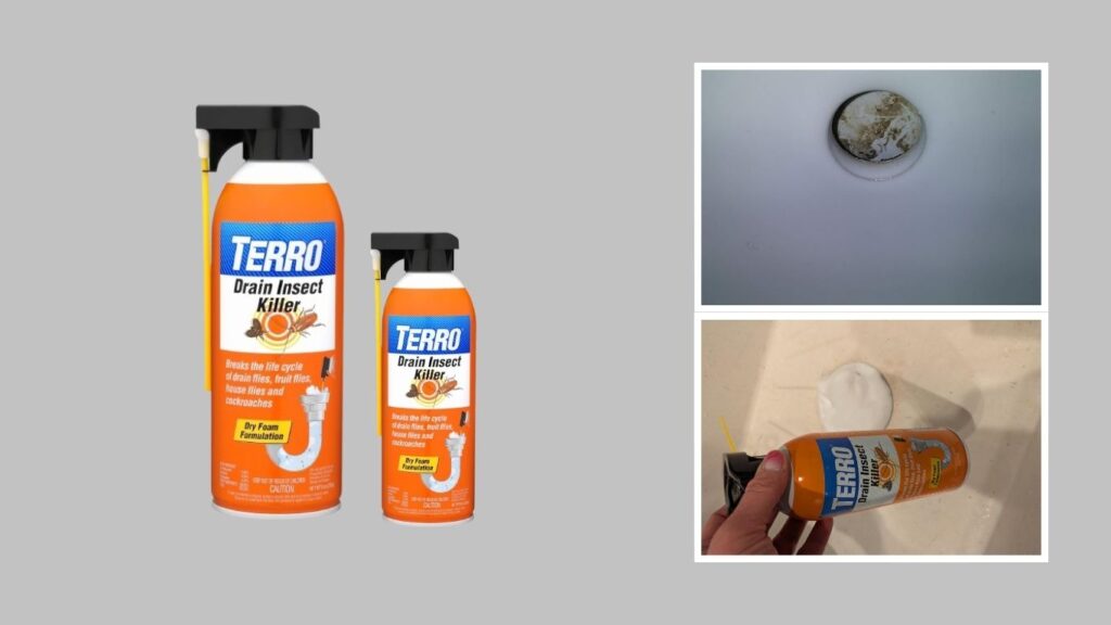 3. TERRO T590 Drain Insect Killer Foam — Best for Insects Breeding in Drains