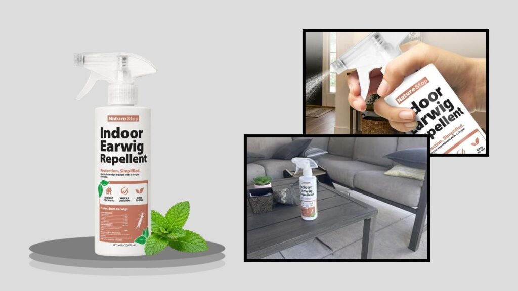 NatureStop Indoor Earwig Repellent Spray