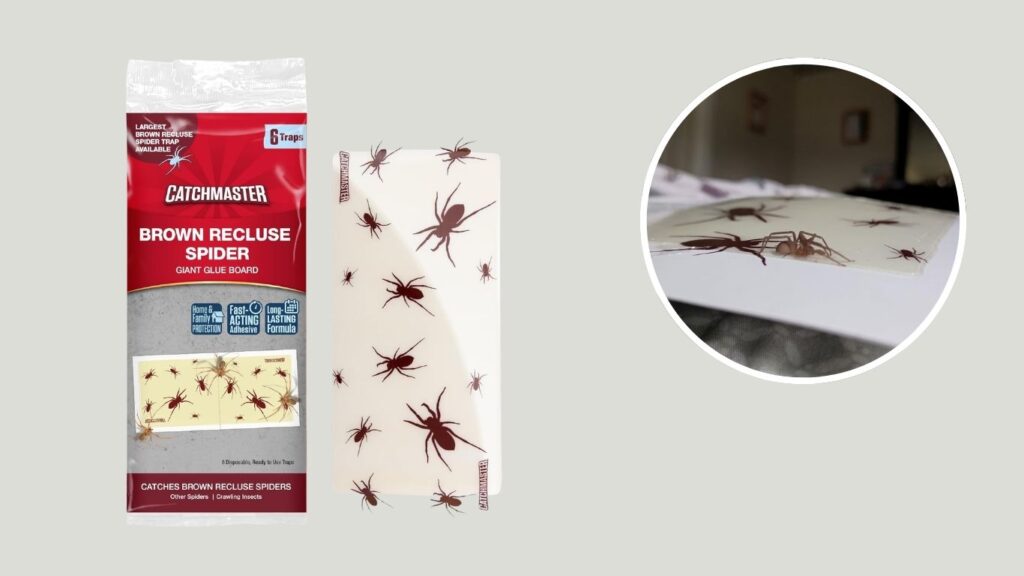 Catchmaster Brown Recluse Spider Giant Glue Boards – 6 Pack
