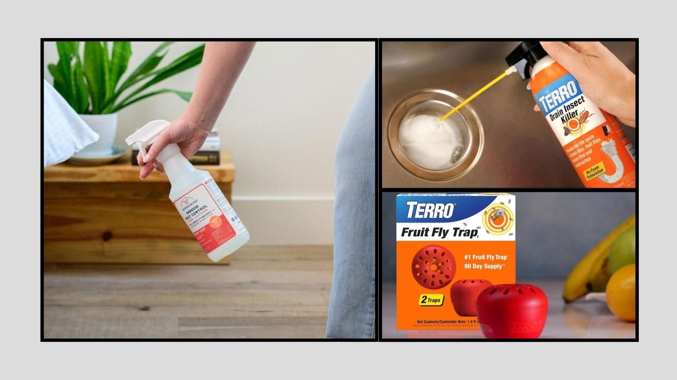 8 Best Fruit Fly Killer Sprays for Indoor & Outdoor Use