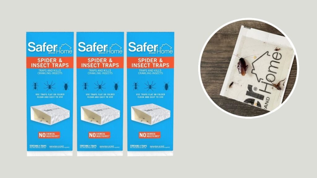 Safer Home Indoor Spider & Crawling Insect Traps