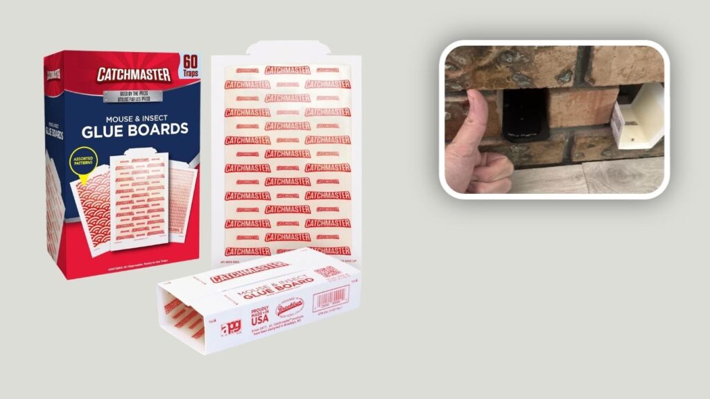 Catchmaster Indoor Glue Boards