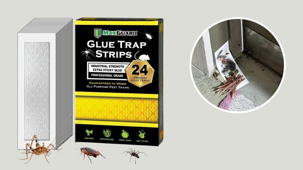 Non-Toxic Pre-Baited Crawling Insect Sticky Traps