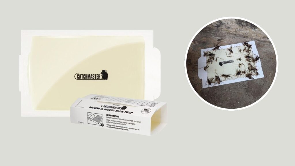 Catchmaster Insect & Mouse Glue Traps