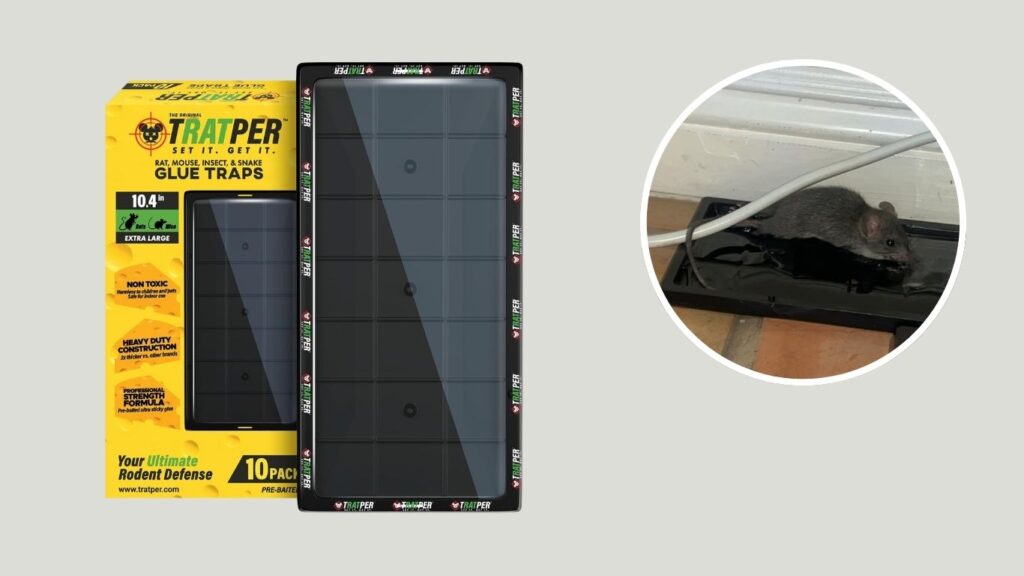 TRATPER Pre-Baited Heavy-Duty Glue Traps