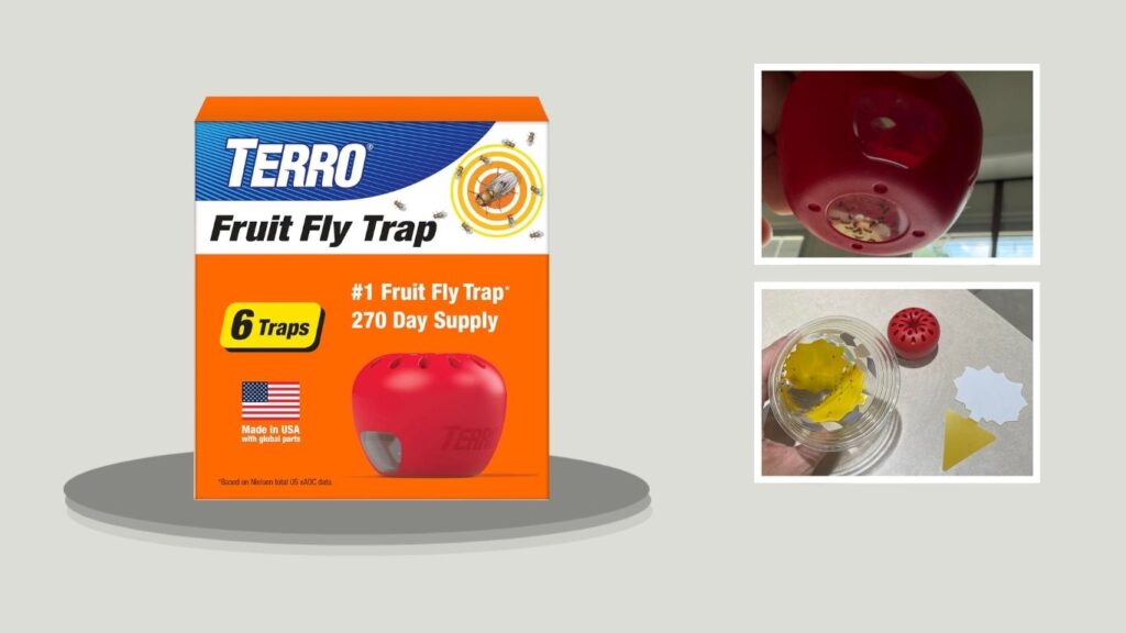 TERRO Fruit Fly Trap for Indoors