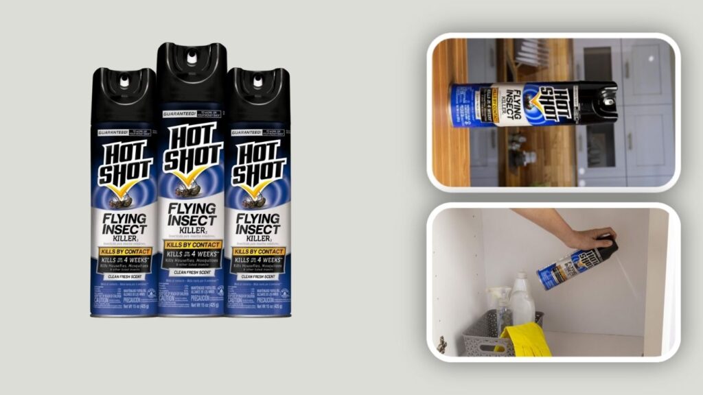 Flying Insect Killer Aerosol Spray