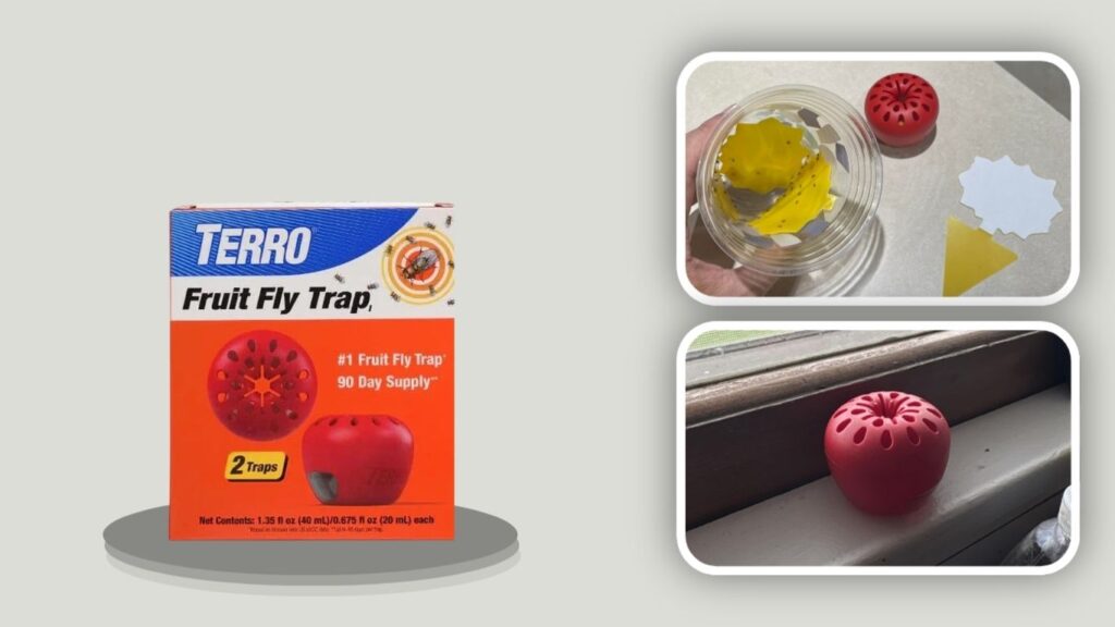 TERRO Fruit Fly Trap & Lure System
