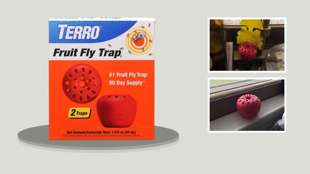 TERRO T2502 Fruit Fly Trap