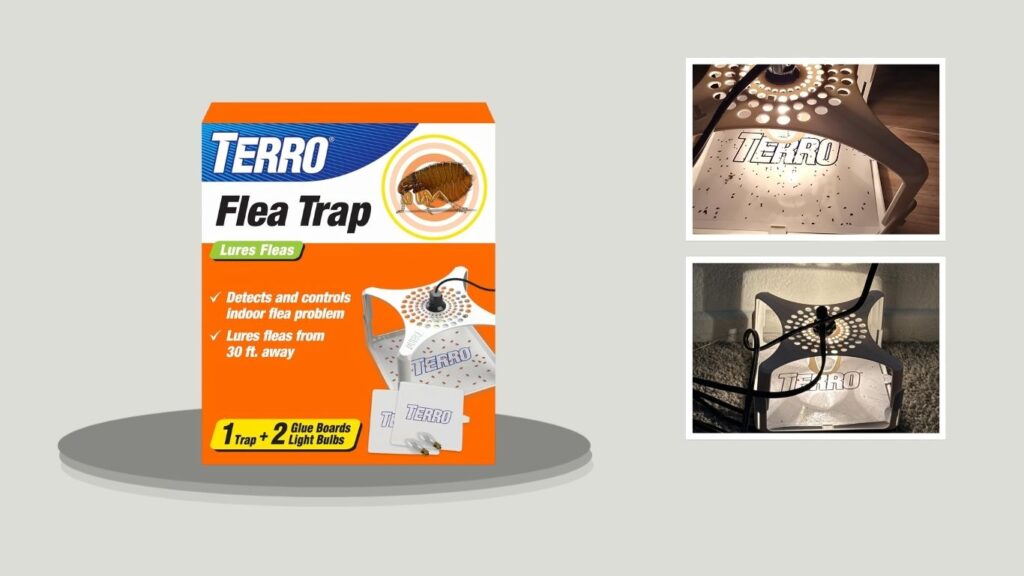 TERRO T230 Refillable Flea Trap