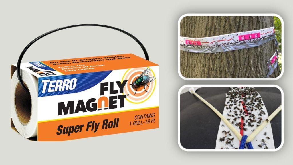TERRO T521 Super Fly Roll