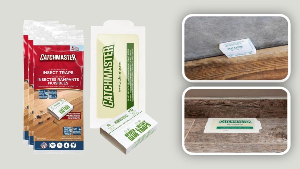 Catchmaster Crawling Pest & Insect Sticky Traps