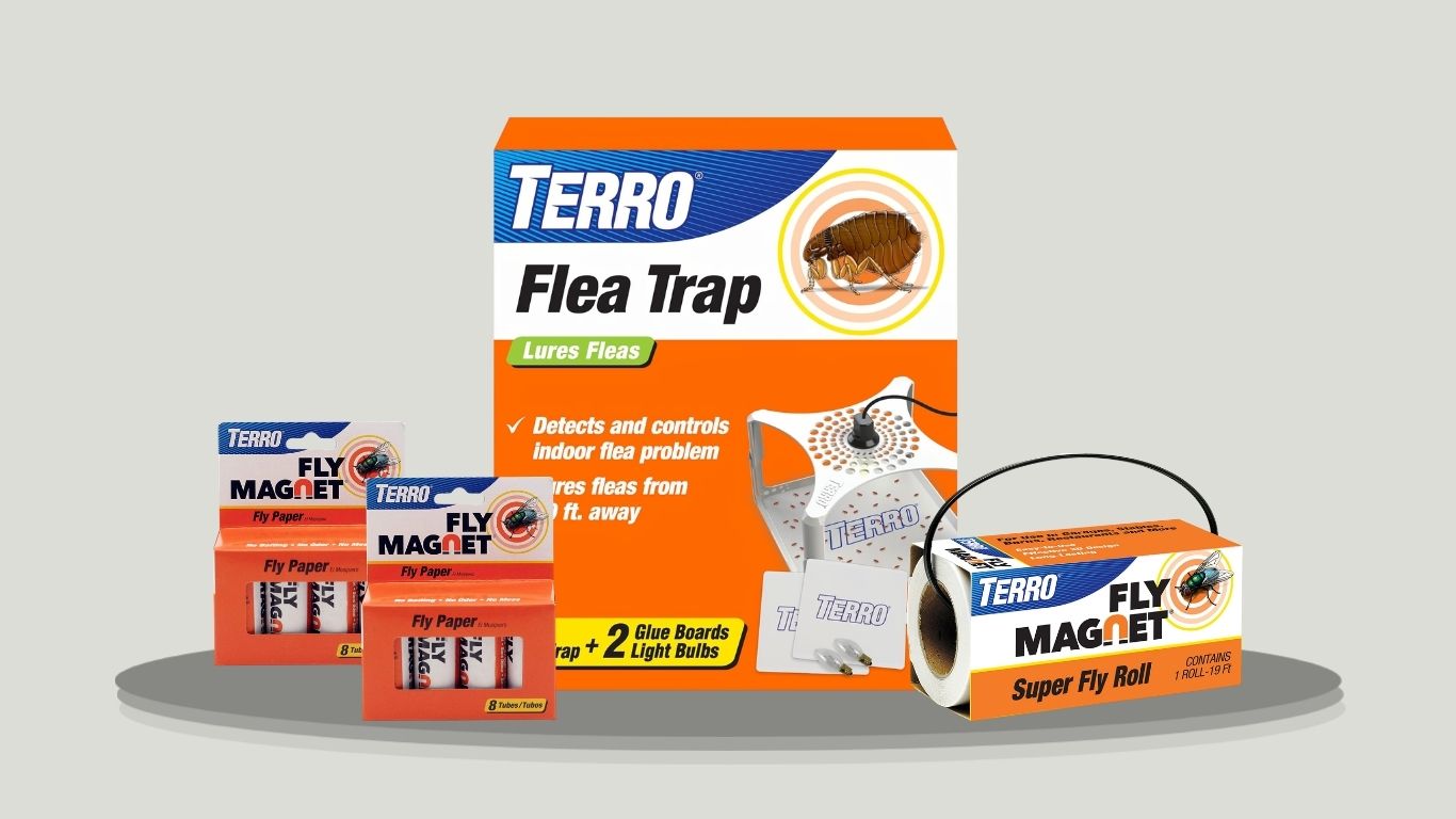 7 Best TERRO Fruit Fly Traps for Effective Fly Control
