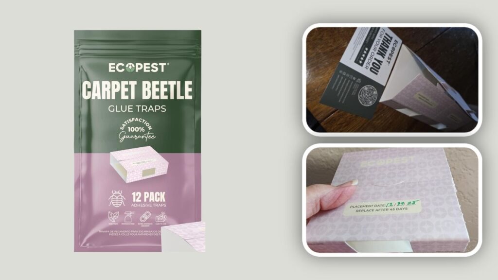  Carpet Beetle Traps for Crawling Insects – Non-Toxic