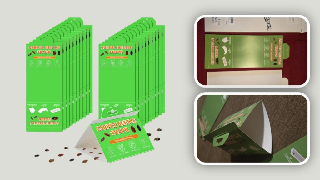 Carpet Beetle & Crawling Insect Monitoring Sticky Traps