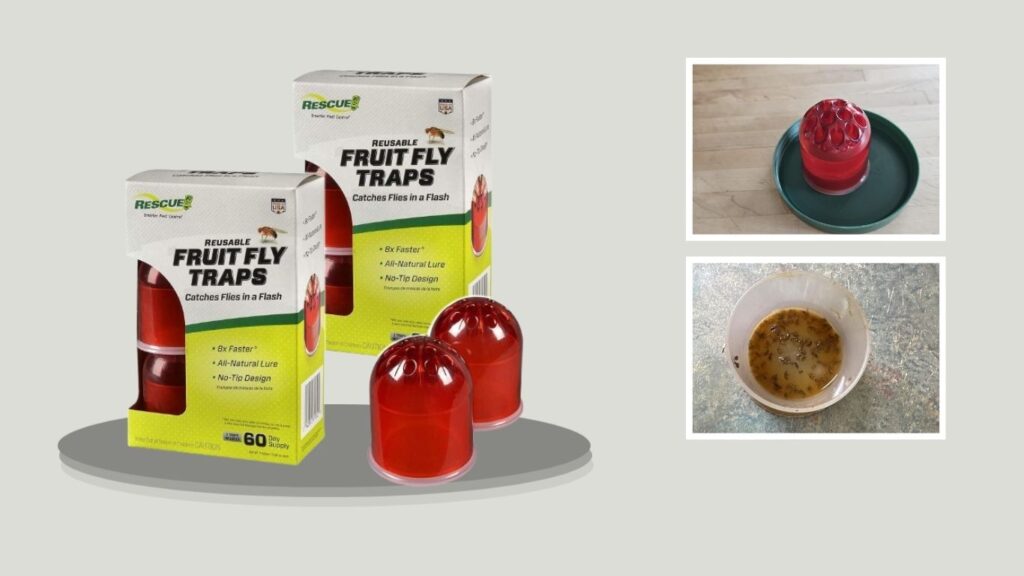 5. RESCUE! Reusable Indoor Fruit Fly Trap — Best for Refillable Bait Trapping