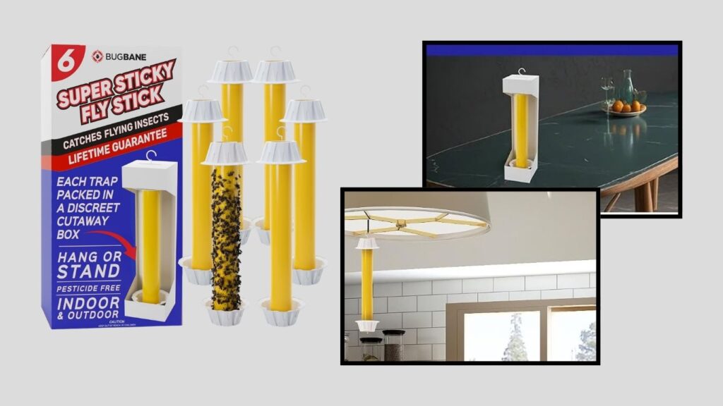 Sticky Indoor & Outdoor Fly Traps