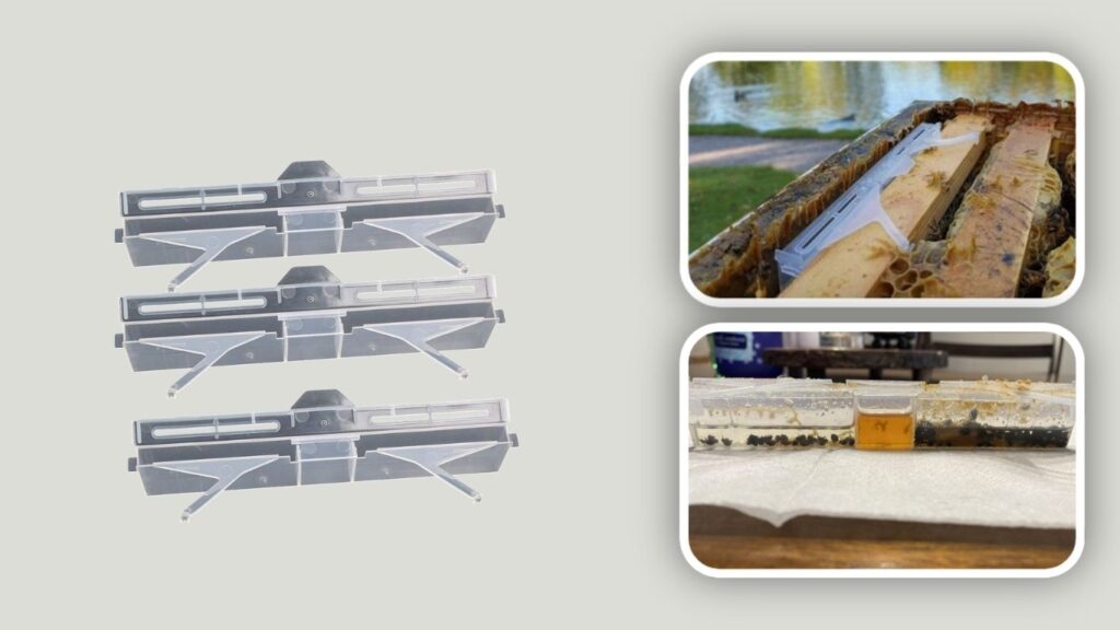 Small Hive Beetle Ultimate Prevention 15PCS Traps