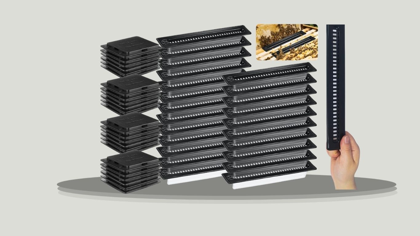 7 Best Hive Beetle Traps for Effective Beehive Protection