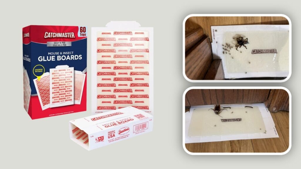 Catchmaster Mouse & Insect Glue Boards