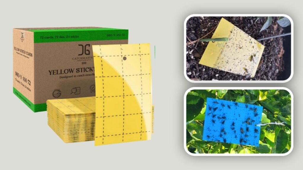  Yellow Sticky Trap for Flying Insects