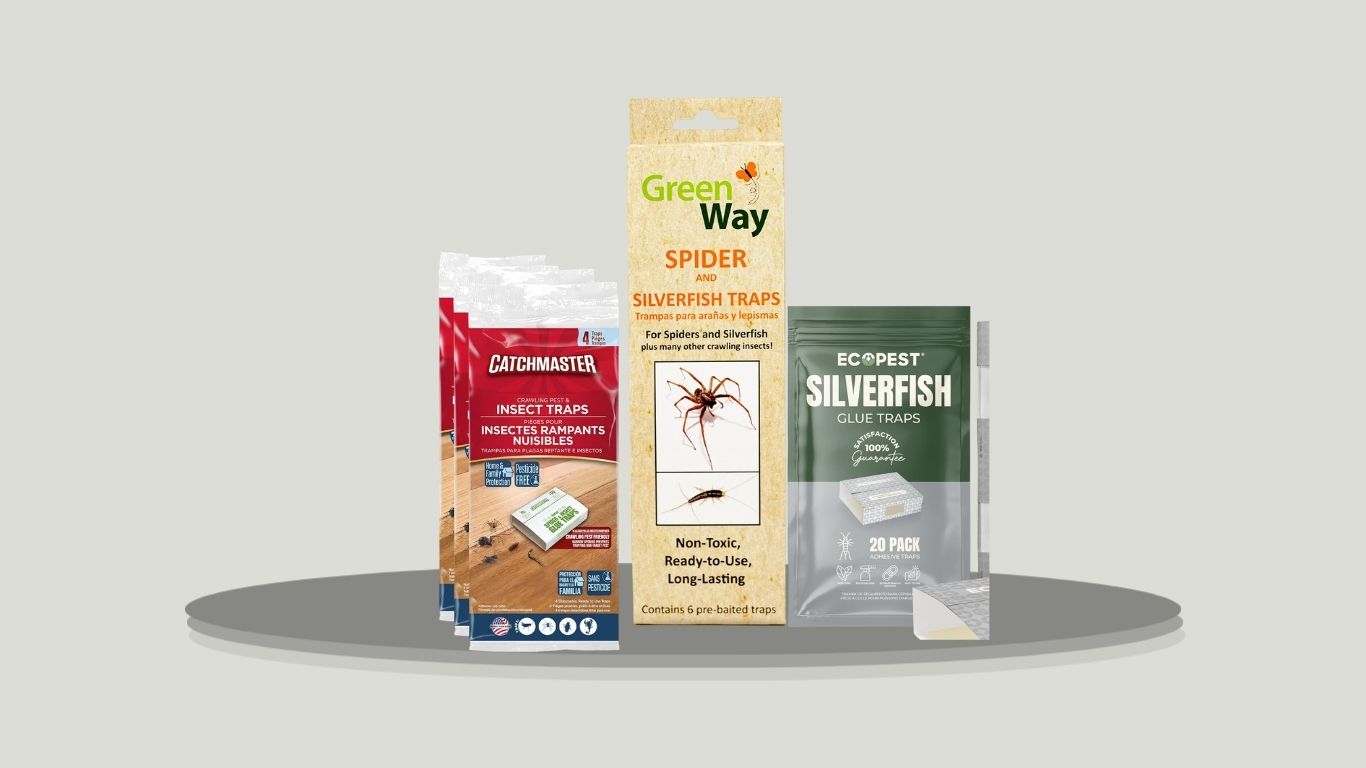 6 Best Silverfish Bait Traps for Easy Indoor Control