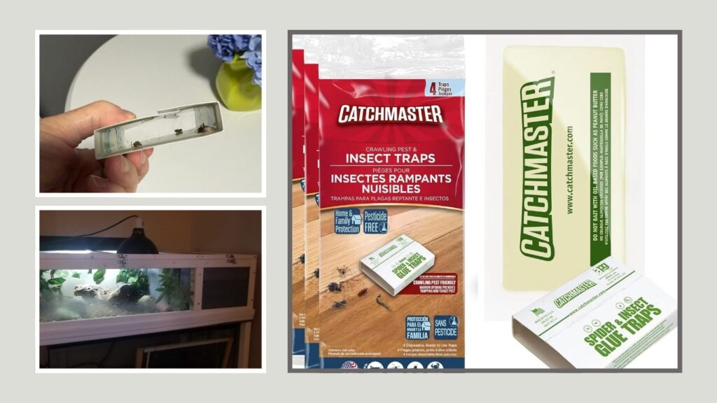 Catchmaster Crawling Pest Glue Traps – Best Multi-Pest Option