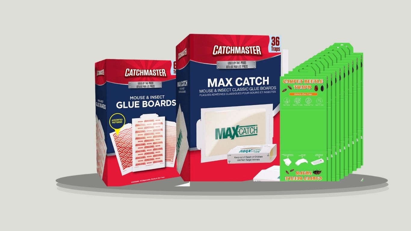 8 Best Carpet Beetle Sticky Traps for Effective Indoor Control