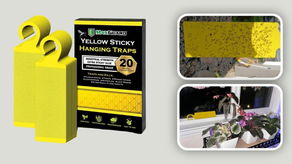  MaxGuard Yellow Hanging Sticky Traps