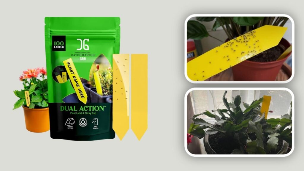  Catchmaster Outdoor & Greenhouse Sticky Insect Traps