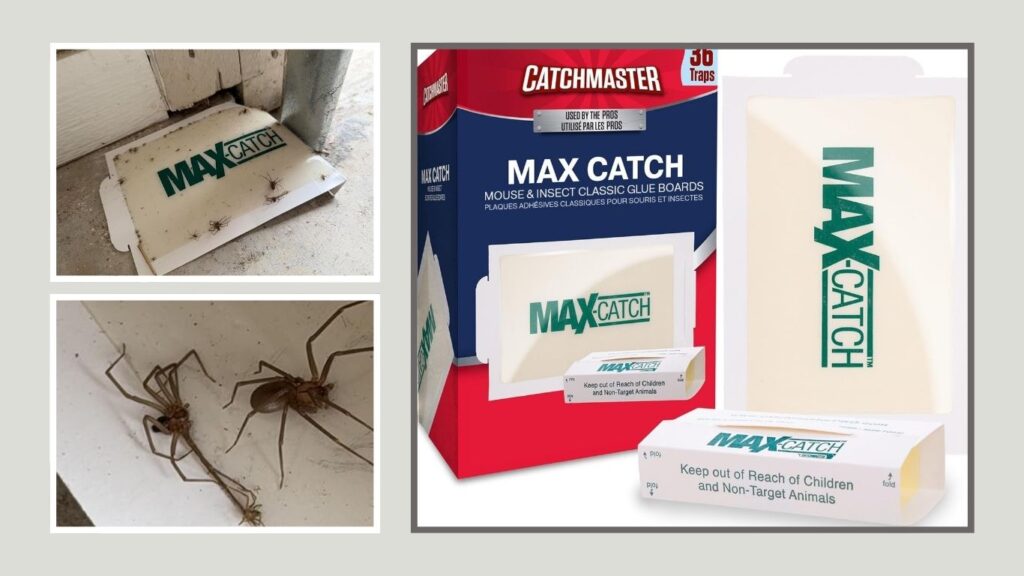 Catchmaster Max-Catch Glue Boards – Best Bulk Coverage