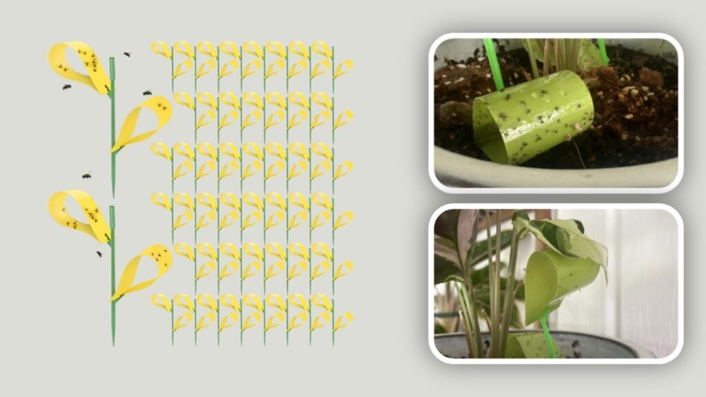  Qualirey Yellow Sticky Houseplant Stakes