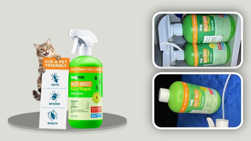 BugMD Peppermint Oil Multi-Insect Killer & Repellent
