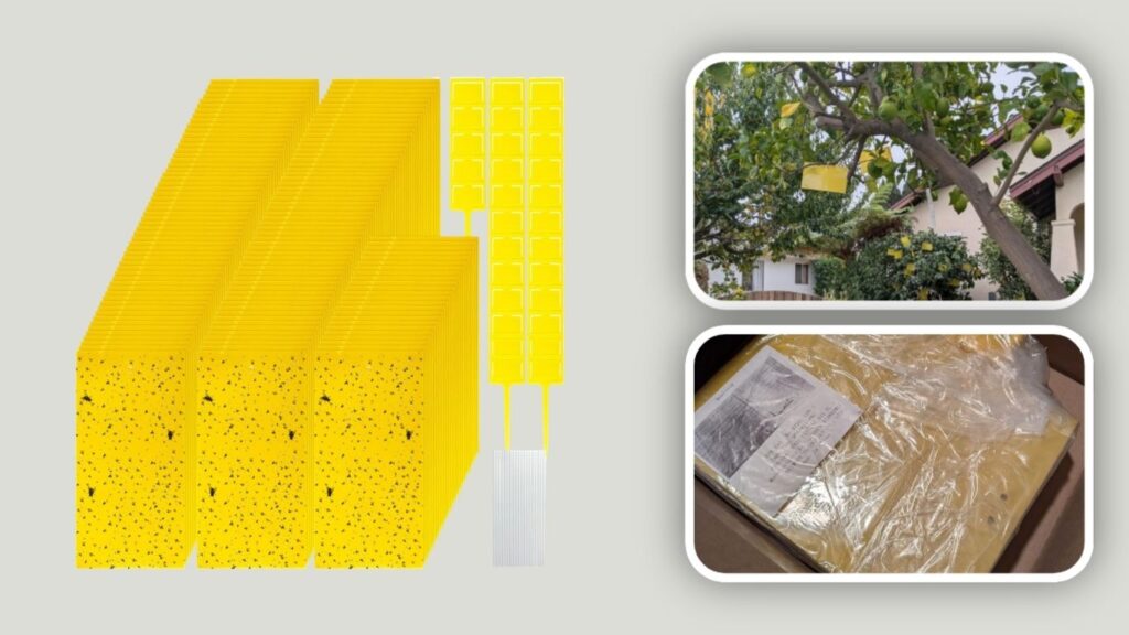  Double-Sided Yellow Sticky Insect Traps