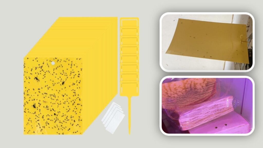 Yellow Sticky Traps with Plastic Holders