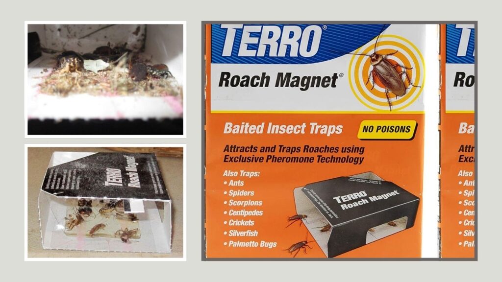 TERRO T256SR Roach Magnet Traps – Best Pheromone-Based Option