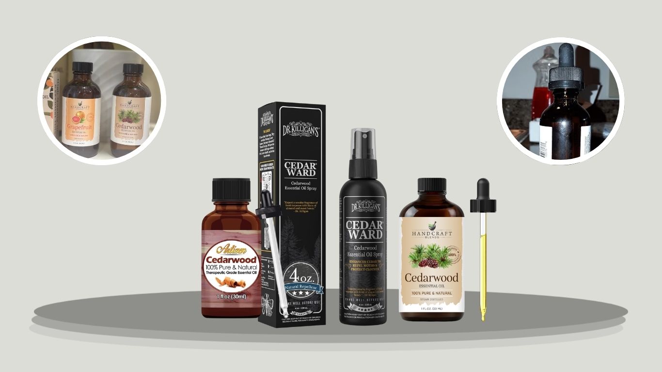 5 Best Essential Oils for Silverfish Control and Repelling