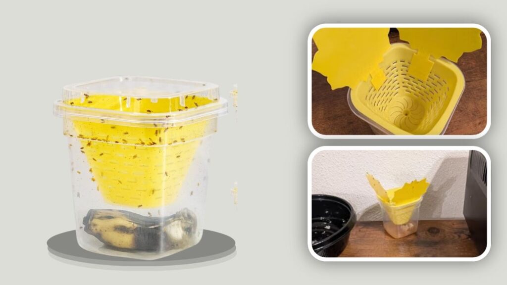 Pestoptek Reusable Non-Toxic Fruit Fly Catcher
