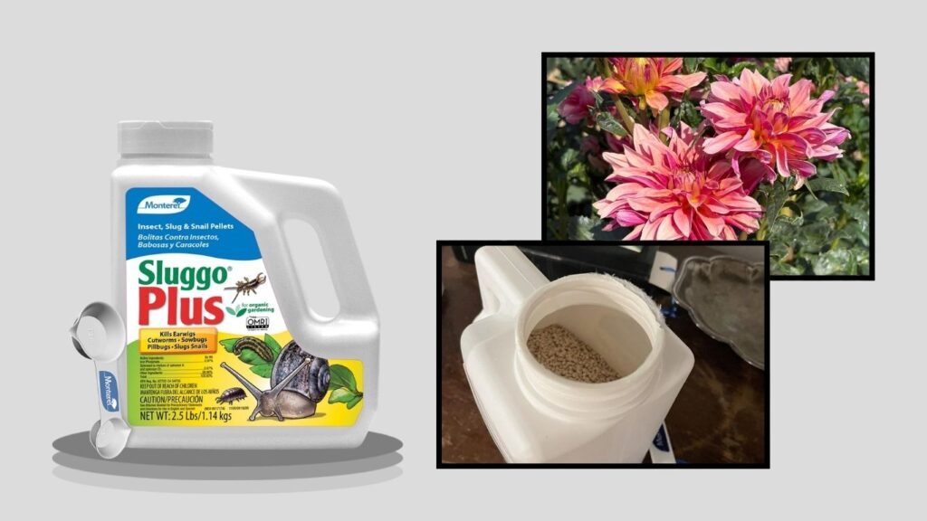 Monterey Sluggo Plus Insect, Slug & Snail Killer
