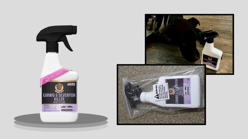 Catchmaster Max-Catch Mouse & Insect Glue Traps