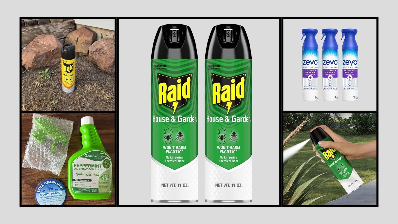 9 Best Fly Sprays for Indoor Use for Fast and Effective Control