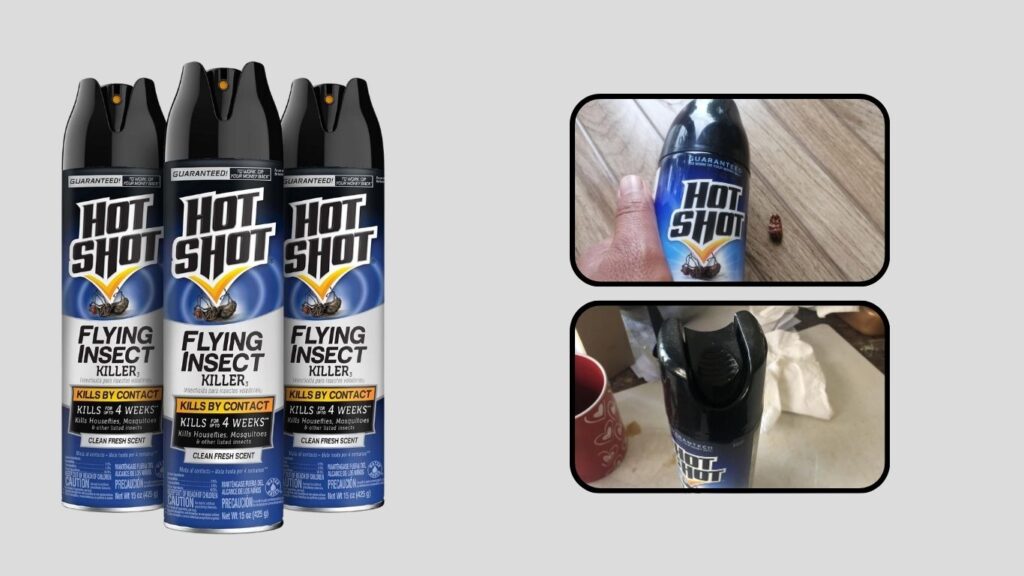Hot Shot Flying Insect Killer