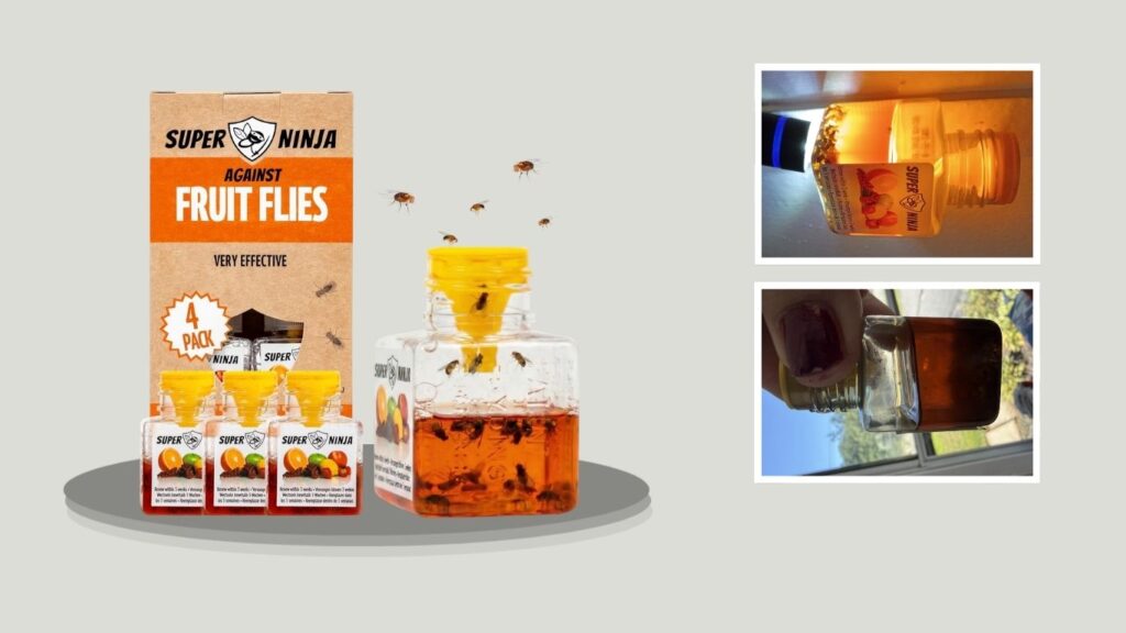 Super Ninja Fruit Fly Traps for Indoors