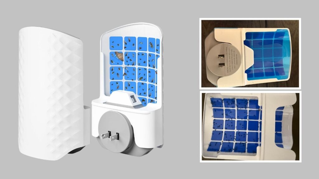 WOWCATCH Flying Insect Trap for Indoor Use